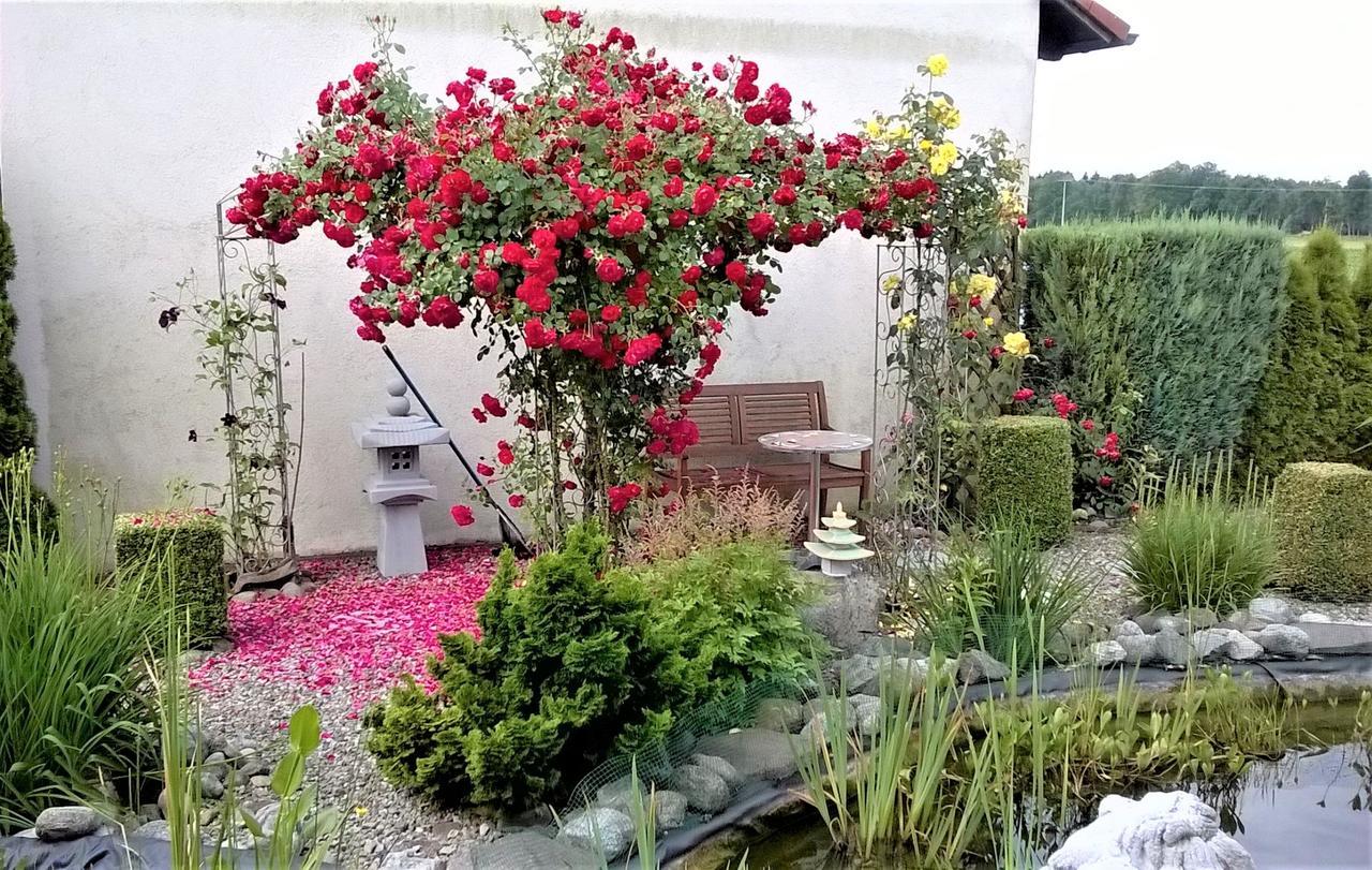 Ferienwohnung Beim Ried Bad Waldsee Luaran gambar
